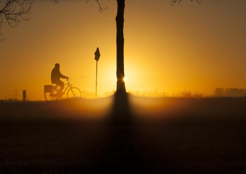 Bici Kleta